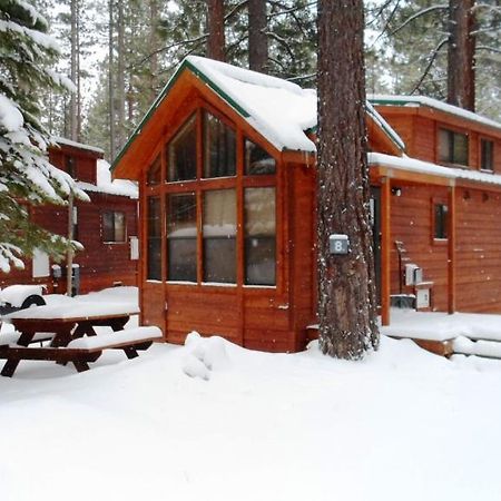 Cedar Pines Resort South Lake Tahoe Exteriör bild