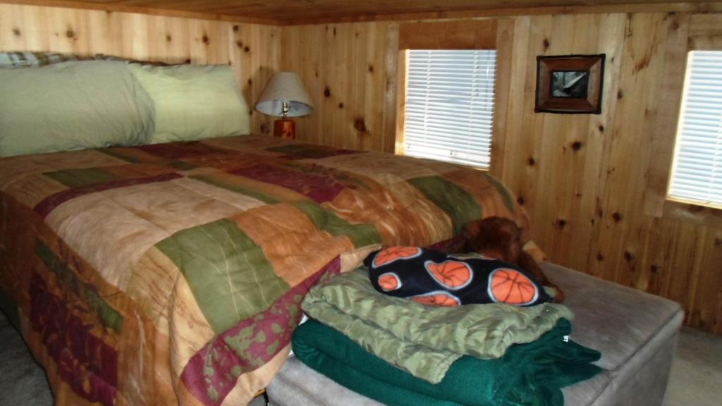 Cedar Pines Resort South Lake Tahoe Rum bild