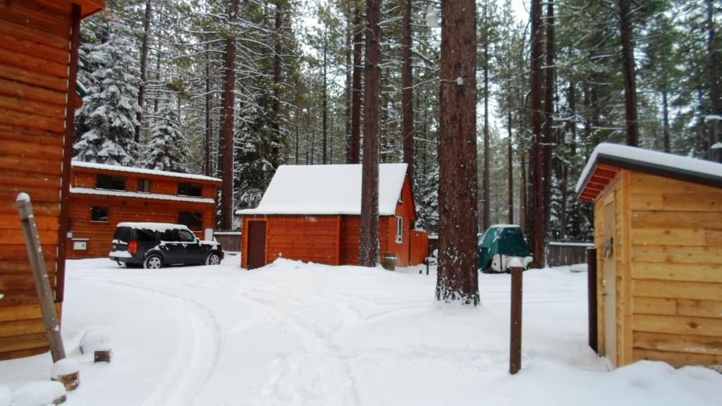 Cedar Pines Resort South Lake Tahoe Exteriör bild
