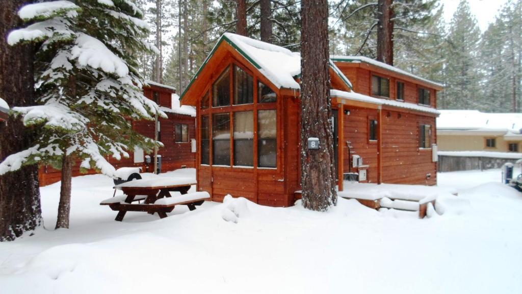 Cedar Pines Resort South Lake Tahoe Exteriör bild